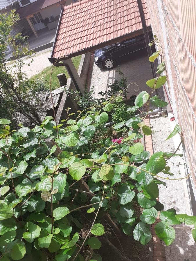 Spirit Apartment Medugorje Bagian luar foto